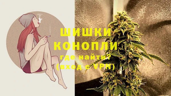 прущая мука Нея