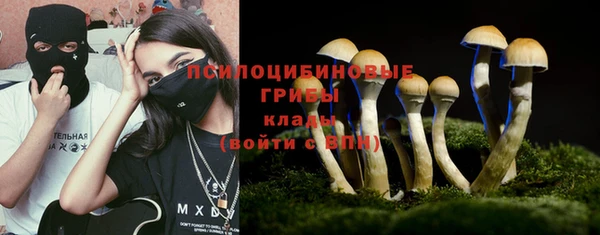 стафф Алексин