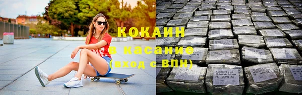 стафф Алексин