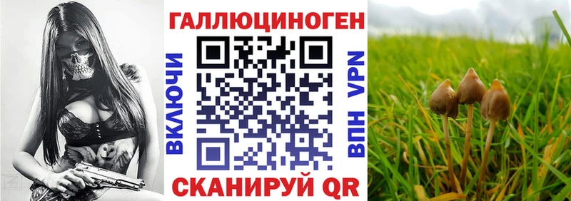 Псилоцибиновые грибы ЛСД  купить наркоту  Игра 
